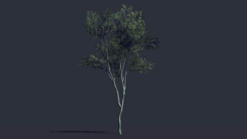 Low Poly Tree Next Gen preview image